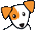 Hund