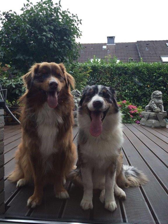 Leines & Nelle