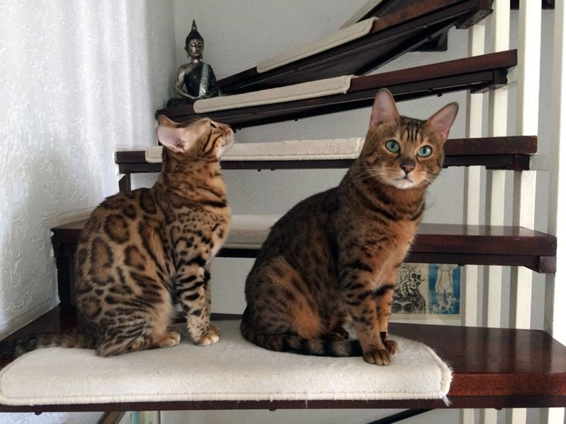 Lisa und Charly